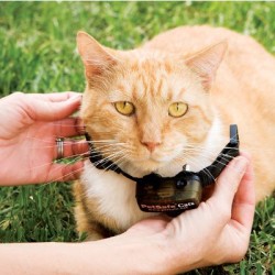 Elektrozaun PETSAFE für Katzen