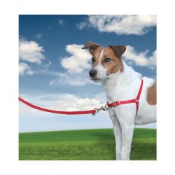 Anti-Zug-Geschirr Easy Walk Harness