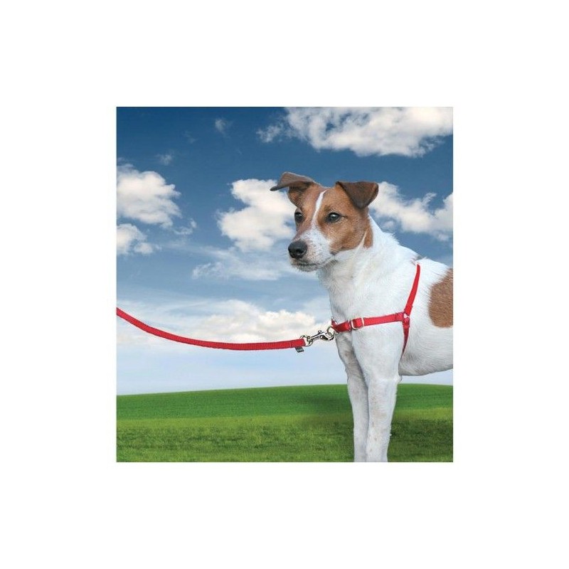 Anti-Zug-Geschirr Easy Walk Harness