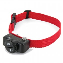 Elektrozaun PETSAFE BASIC