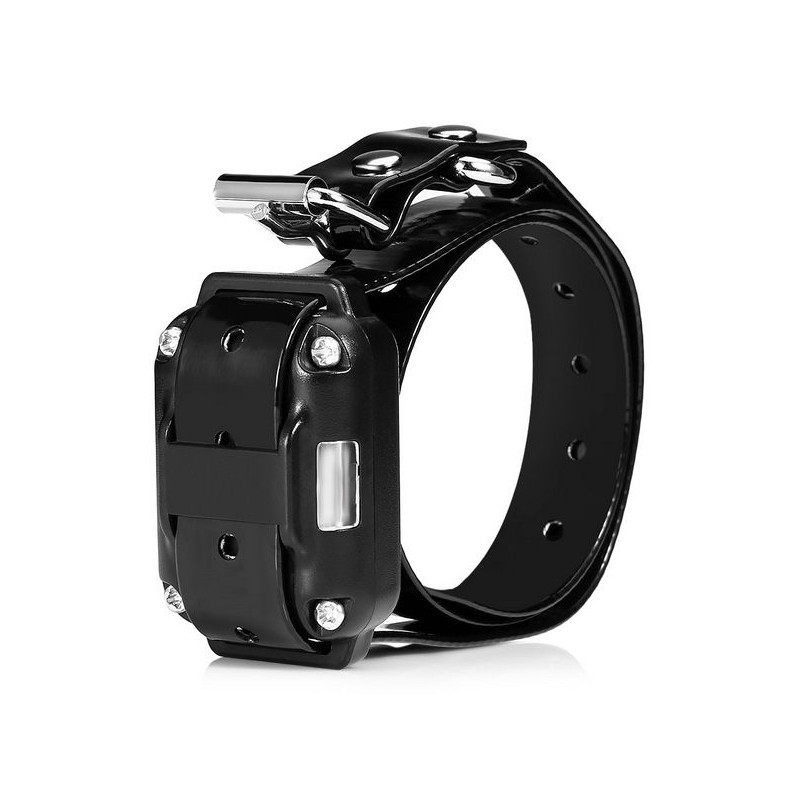 Empfänger für das halsband BENTECH D776