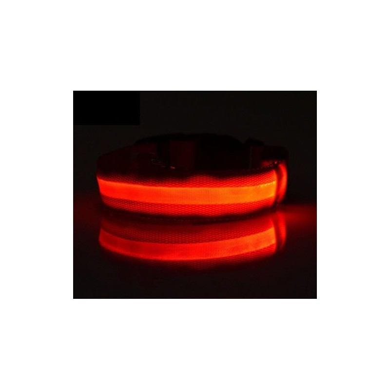 LED-Leuchthalsband